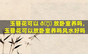 玉簪花可以 🦋 放卧室养吗,玉簪花可以放卧室养吗风水好吗